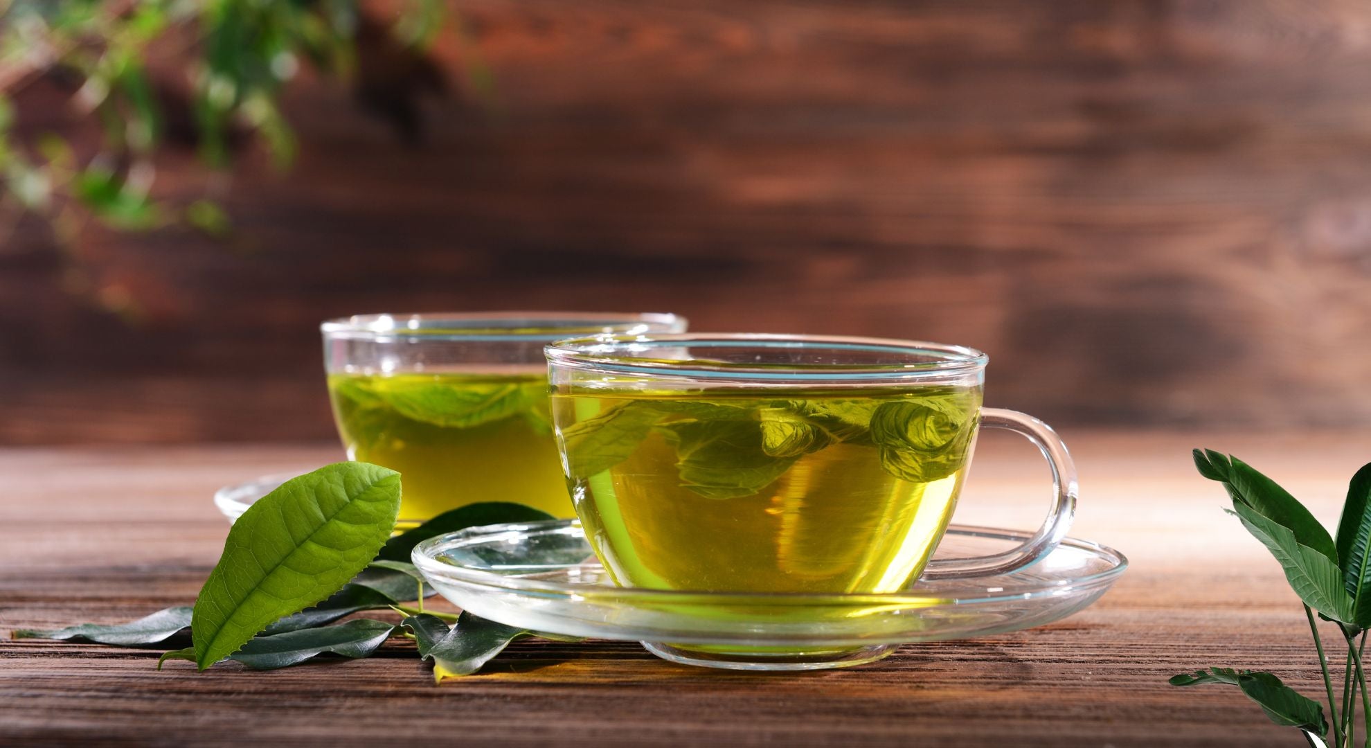 Hero image showing two glass mugs of organic herbal tea with mint leaves, highlighting the Herbal Energy feel‑better‑naturally message